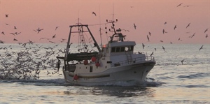 Pesca: al via la trattativa per rinnovo contratto personale non imbarcato dipendente da...